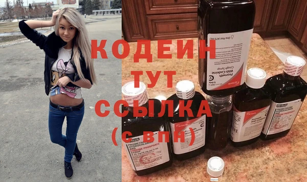хмурый Гусев
