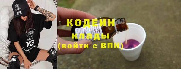 хмурый Гусев