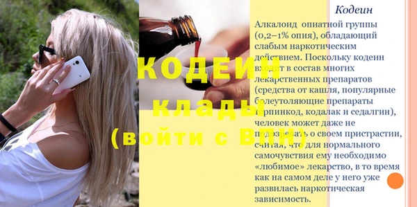 хмурый Гусев