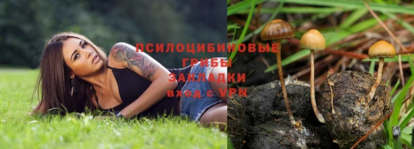 хмурый Гусев