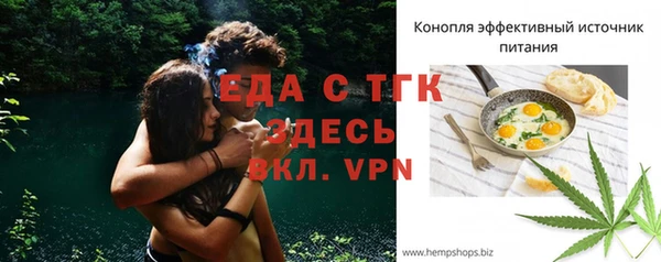 хмурый Гусев