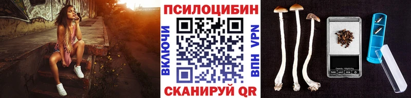Купить где  Камышлов  Псилоцибиновые грибы прущие грибы 